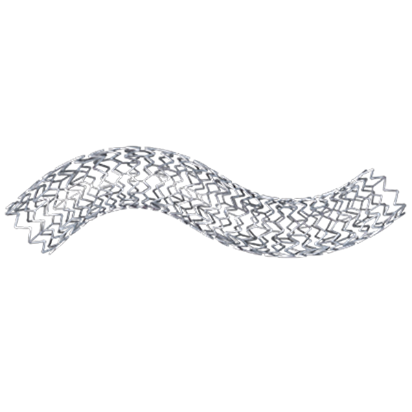 Express™ LD Iliac and Biliary Premounted Stent System