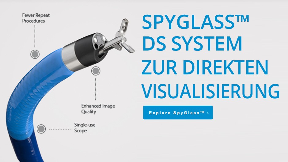 Spyglass™ DS System zur direkten Visualisierung