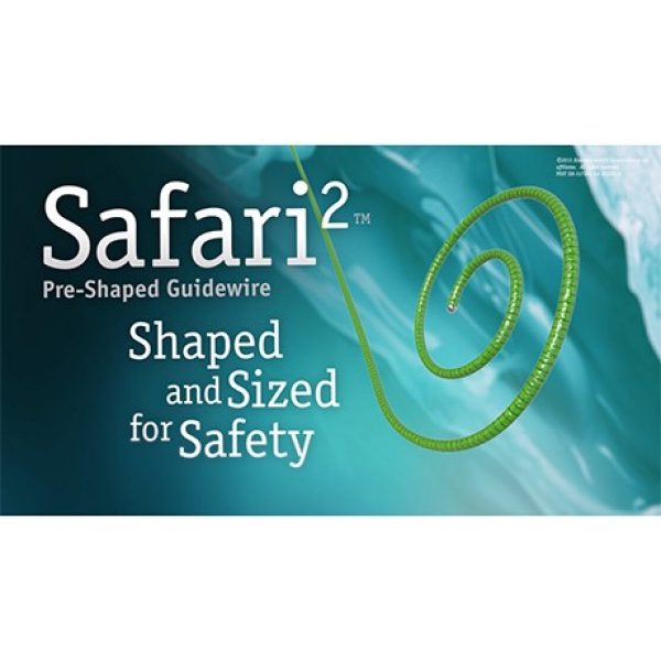 safari guidewire boston