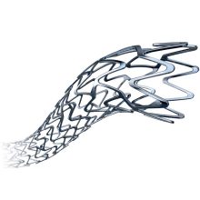 Stents: Coronary - Boston Scientific