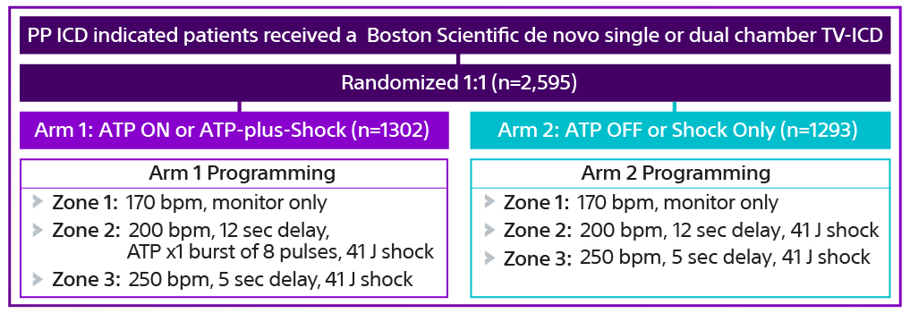 PP ICD indicated patients received a Boston Scientific de novo single or dual-chamber TV-ICD.
