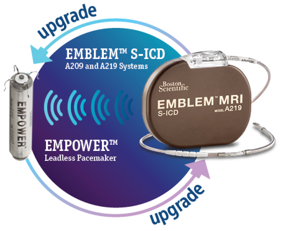 EMBLEM s-ICD A209 and A219 Systems, and EMPOWER Leadless Pacemaker, with the word 