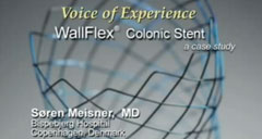 wallflex-colonic-case-studies-Meisner-240x128.jpg
