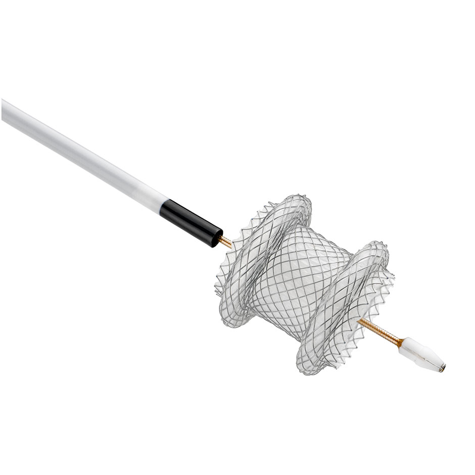 AXIOS™ Stent and Electrocautery Enhanced Delivery System - Boston Scientific