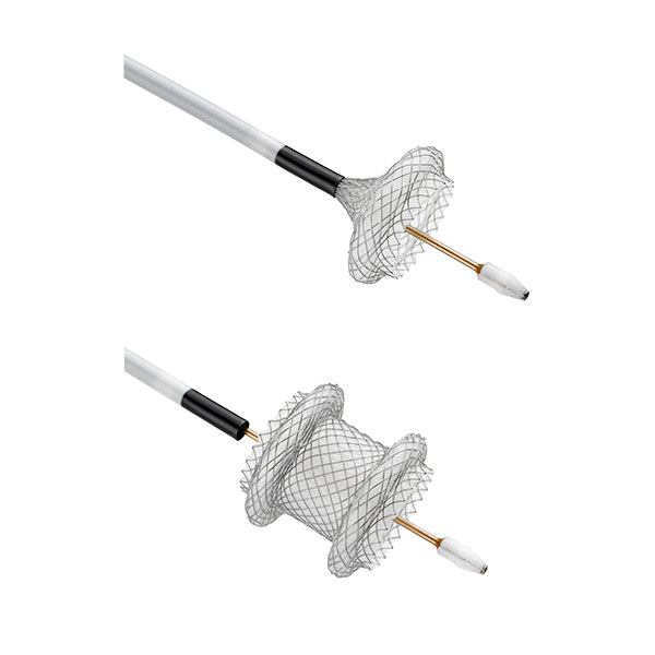 AXIOS™ Stent and Electrocautery Enhanced Delivery System - Boston