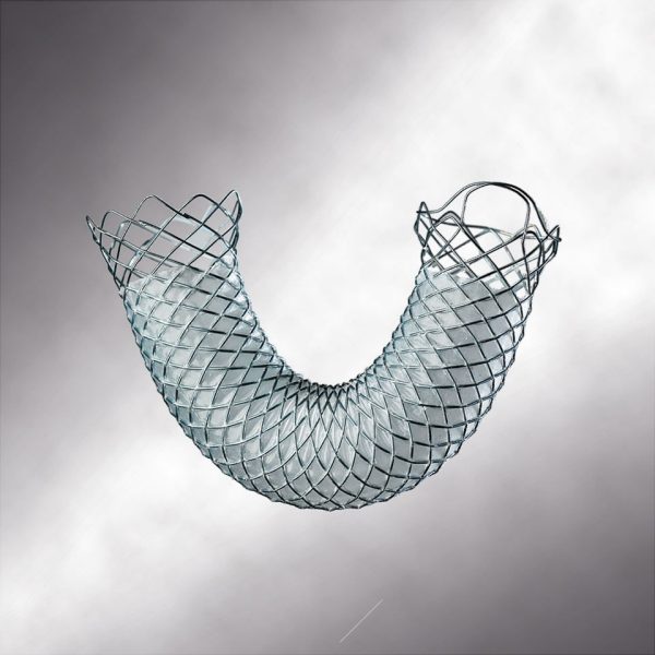 WallFlex Biliary Transhepatic Stent System - Boston Scientific