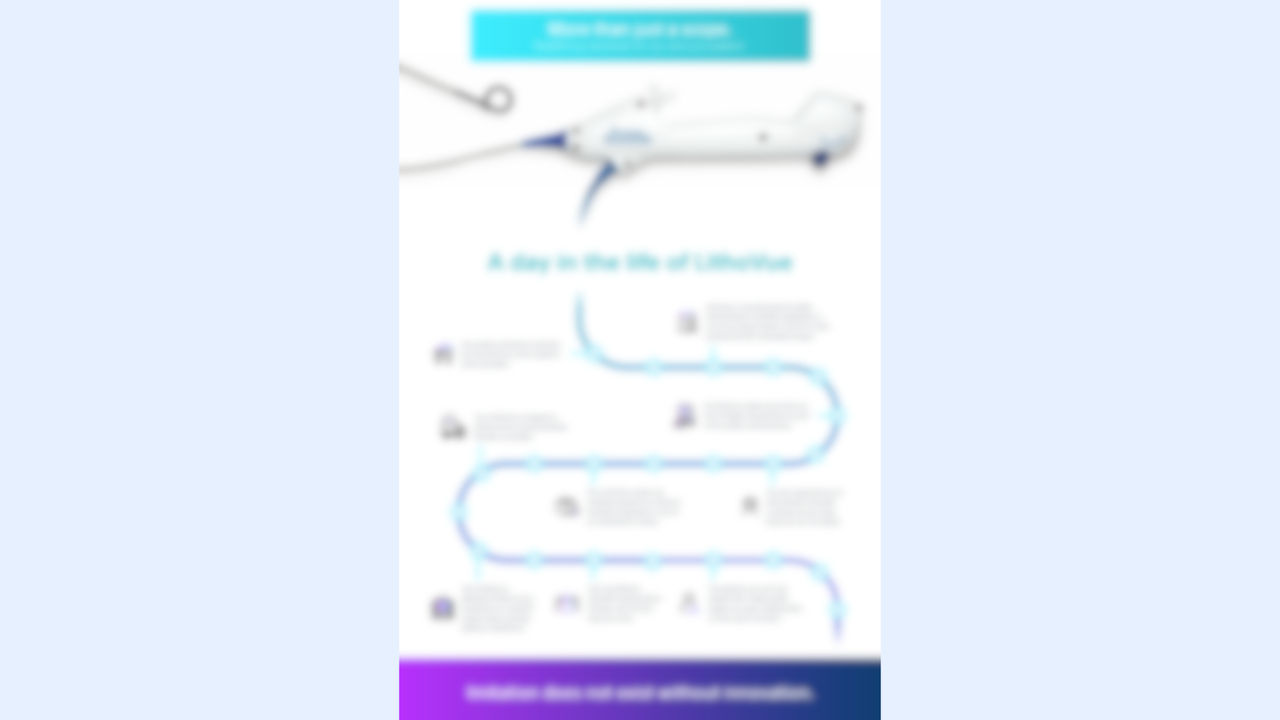 Lithovue Quality Infographic