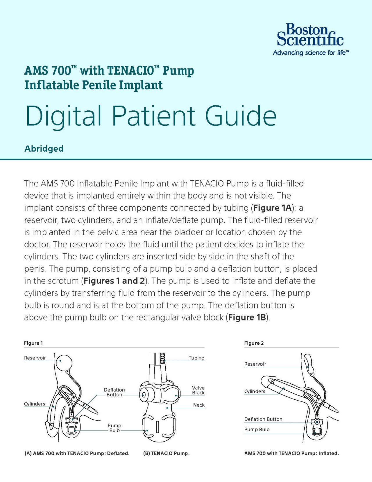 picture depicting tenacio pump diagrams and some text