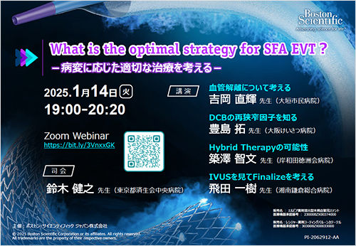 What is the optimal strategy for SFA EVT？​  -病変に応じた適切な治療を考える-