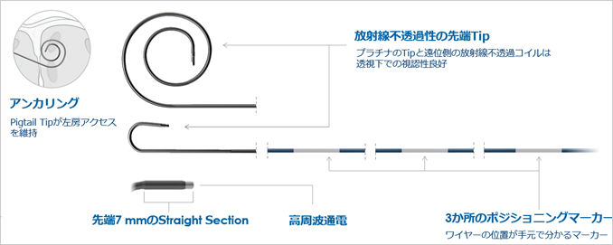 左心房治療に使用する高周波の経心房中隔穿刺システム「VersaCross™ RF Transseptal Solution」を8月1日より新発売